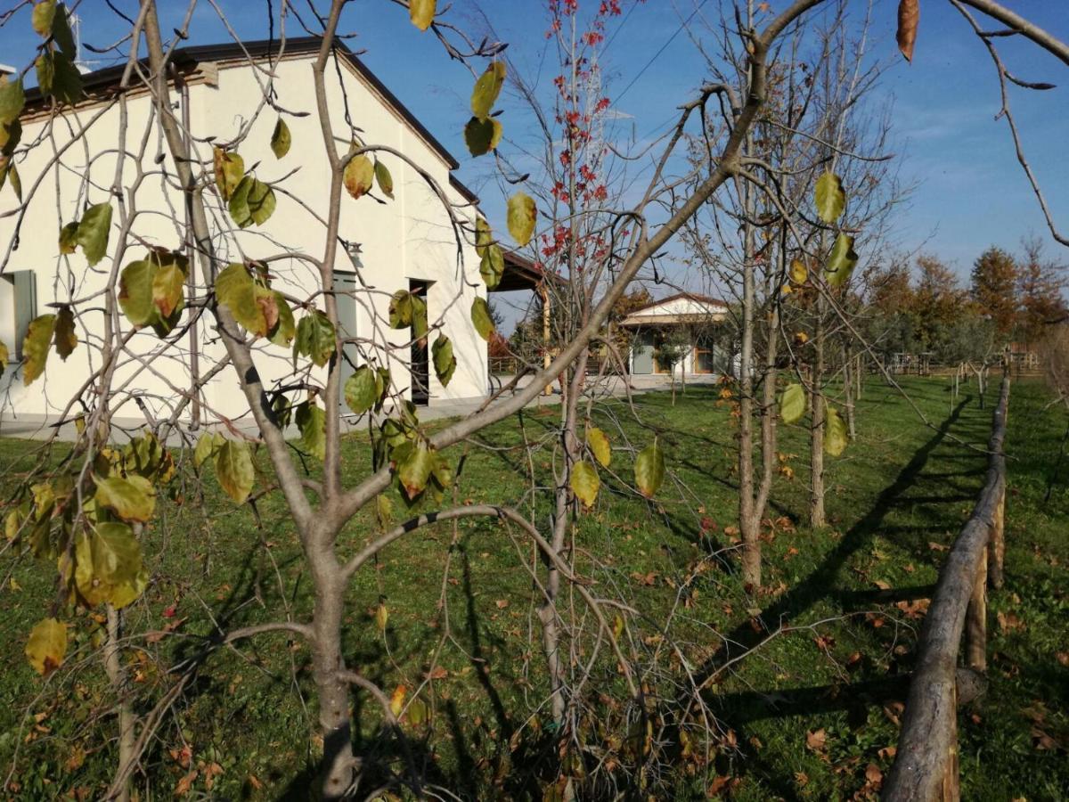 Agriturismo Corte Benetti Ровіго Екстер'єр фото