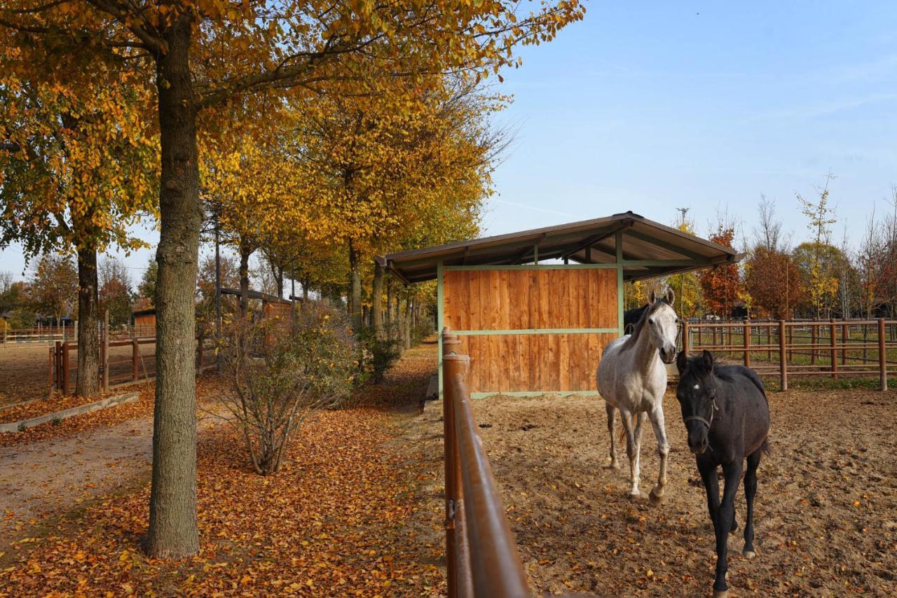 Agriturismo Corte Benetti Ровіго Екстер'єр фото